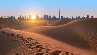UAE sees major institutional influx of capital into crypto