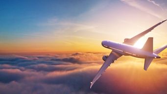 Travel Insurance: The Digital Experience