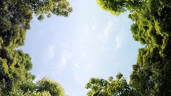 WorkLife2.0 - Climate change and the workplace