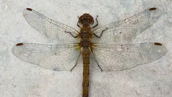 Holisticly whiteboard performance based expertise before excellent outsourcing.