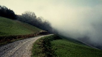 AI- Road to nowhere?