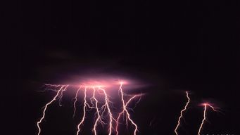 Three Signals Your Industry Is About to Be Disrupted