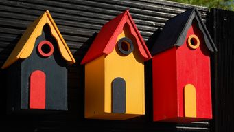 Which Magazine members survey of home insurance customer satisfaction raises a red flag for insurers