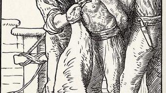 5. Data, data everywhere nor any byte to digest