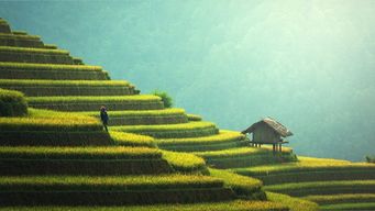 Why Chinese Insurers Lead the way in Digital Innovation
