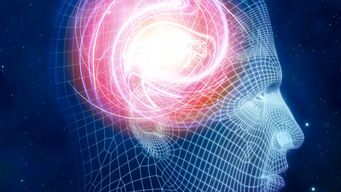 Insurance 2030—The impact of AI on the future of insurance