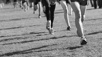 Are Incumbents Insurers falling behind in the insurtech race?
