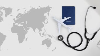 Travel insurers, pricing, and profitability 