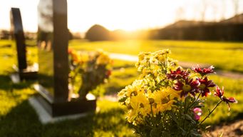 FCA urges Life Insurers to speed up claims and replace legacy technology