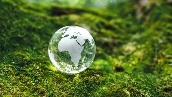 Advancing adaptation: Mapping costs from cooling to coastal defenses
