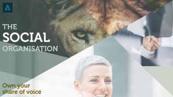 THE SOCIAL ORGANISATION