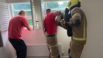 Why the Fire Brigade had to rescue our neighbour’s curious cat