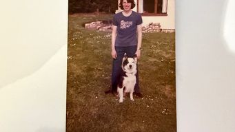 How our dog became immortal