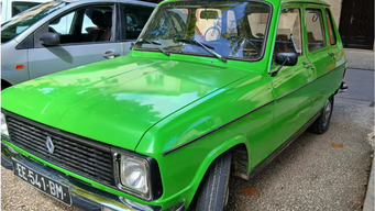 The Lime Green Legend: Baboons, Key Blunders, and French Engineering