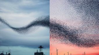 Use Your Growth Strategy to Unite Your Senior Team
