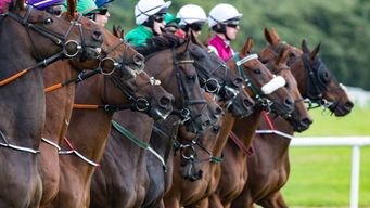 20 tips but how many will be winners?