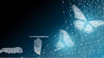 The role of HR in business transformation - it's more than you think!