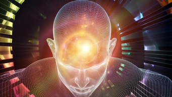 Optimising organisational energy through digital...