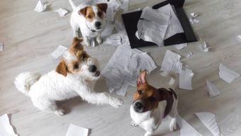 Time to stop messing about in the margins and really get out of this Sales mess in 2022..