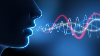 Who owns the Digital Share of Voice in your sector...? What is it and why is it important...?