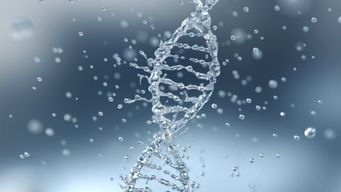 Digital and Social Presence is in our DNA. We just need to activate it.