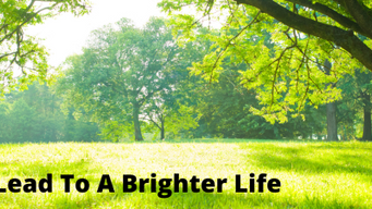 How a book saved my sanity in tough times?
