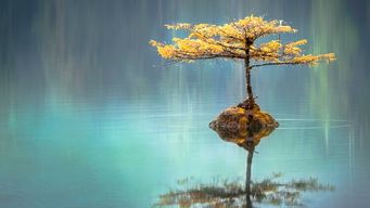 Articulating & Quantifying Value in a B2B Sales Situation Is Hard. Do It Well and Differentiate Yourself To Win.