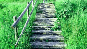 Pipeline - are you looking in the wrong place. Qualify where the problem is.