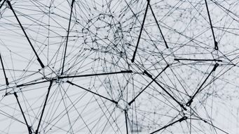 Branding in the Digital World