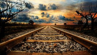 Pivoting to Digital Maturity
