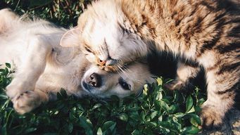 Understanding The Nature Of Trust Is Only The Beginning