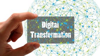 Phases of Digital Transformation Maturity: from Stunted Awareness to Sustained Vitality