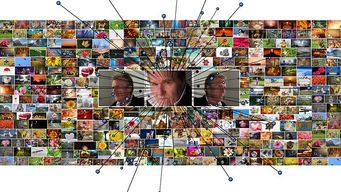 Is Social Media The Echo Chamber You Asked For?
