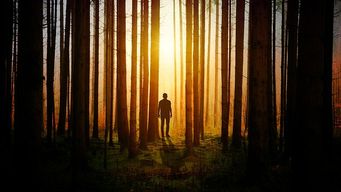 How to Catalyze a Sales Transformation