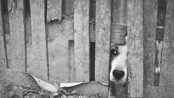 Can social selling help me get past gatekeepers?
