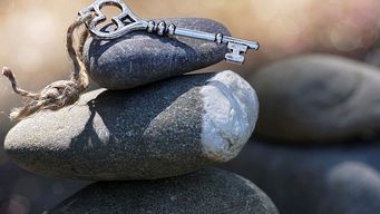 Can social procurement transform my buyer teams?