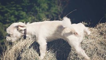 Why your being rude on LinkedIn and probably don't know it