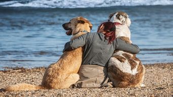 How a social selling qualification will eliminate your salesforce's trust deficit