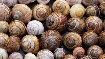 Are your prospects starting to see the pattern of your outreach, afterall they're not stupid!