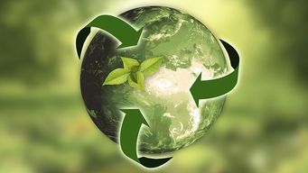 What Does Football, Adidas, and Sustainability Innovation Have in Common?
