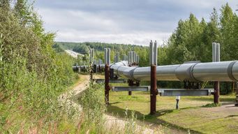 We have no pipeline, no visibility and no credibility and what as a business can you do about it