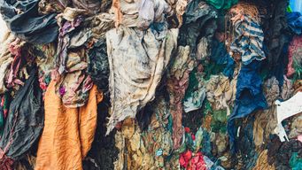 Why Is The 'Fashion' Consumer Wasted?