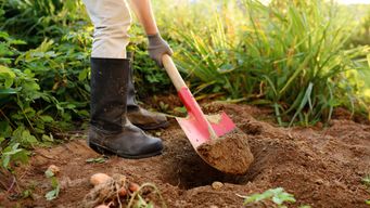 Why increasing your sales headcount won't dig you out of your lack of pipeline hole