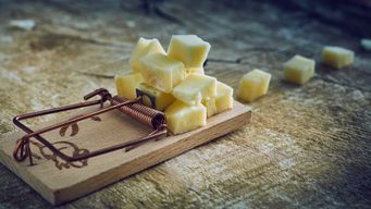 Content marketing - The trap all salespeople fall into