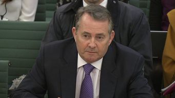 MPs could steal BREXIT
