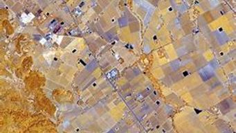 PlanetWatchers Gaining Momentum in Crop Insurance by Delivering Timely and Reliable Monitoring Services and Insights