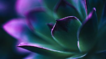 Investment management update - July 2025