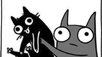 Cat?