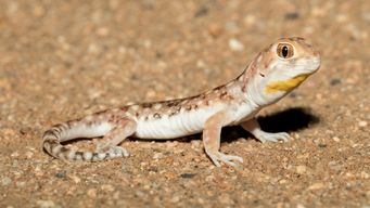 Train Delay Repay rule changes to make claims easier