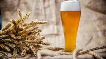 TIPS FOR BEER ADVERTISING IN POLAND